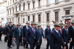 Inizio-Adunata-Nazionale-alpini-Milano-10